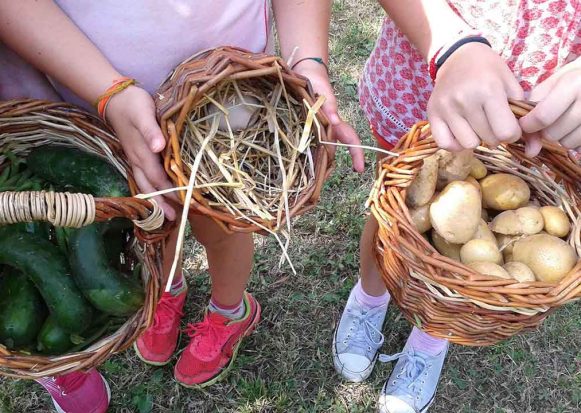 fattoriamo_podere_lesignano_1200x720