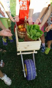 Children at FattoriAmo show off their bounty of fresh vegetables in a rustic wheelbarrow